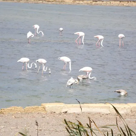 Torre Lupa Appartement Marsala